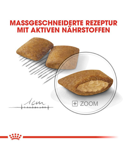 ROYAL CANIN EXIGENT MINI Trockenfutter für wählerische kleine Hunde 1 kg