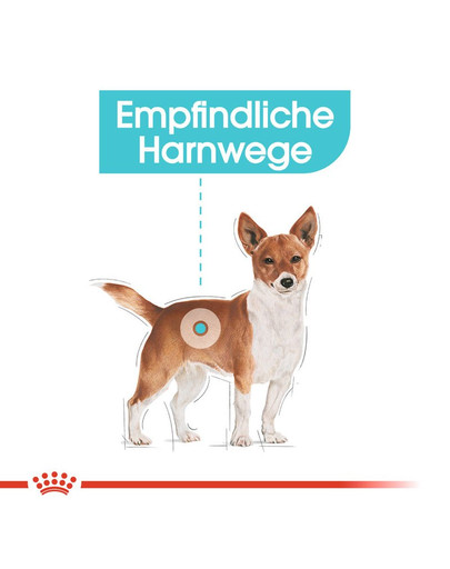 ROYAL CANIN Urinary Care MINI Trockenfutter für kleine Hunde mit empfindlichen Harnwegen 1 kg
