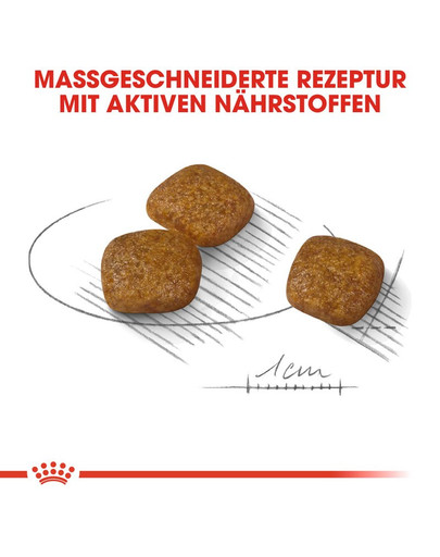 ROYAL CANIN Urinary Care MINI Trockenfutter für kleine Hunde mit empfindlichen Harnwegen 1 kg