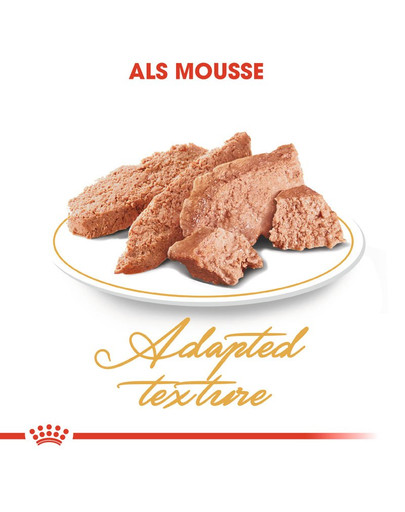 ROYAL CANIN Persian Adult Katzenfutter nass für Perser-Katzen 12 x 85g