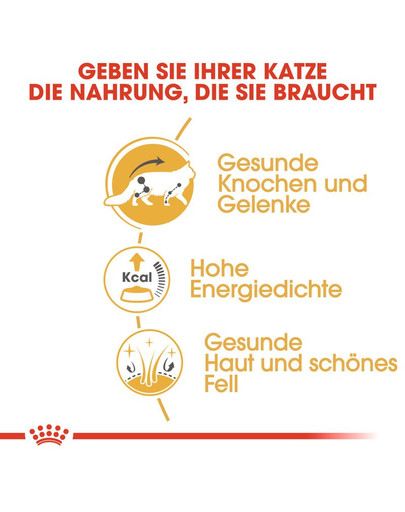 ROYAL CANIN Maine Coon Adult Katzenfutter nass 12 x 85 g