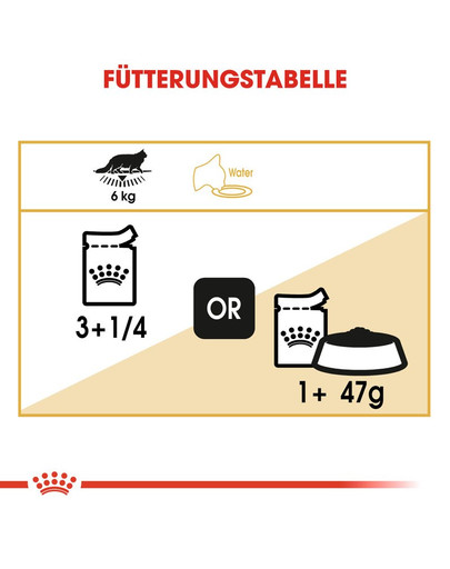 ROYAL CANIN Maine Coon Adult Katzenfutter nass 12 x 85 g