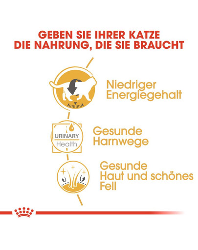 ROYAL CANIN British Shorthair Adult Katzenfutter nass für Britisch Kurzhaar 12x85 g