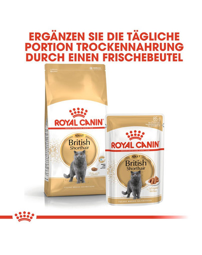 ROYAL CANIN British Shorthair Adult Katzenfutter nass für Britisch Kurzhaar 12x85 g