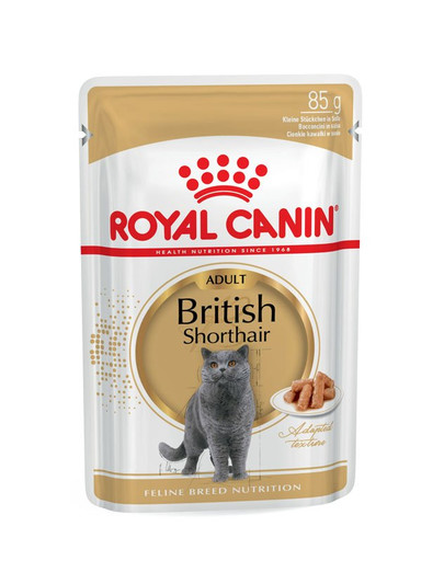 ROYAL CANIN British Shorthair Adult Katzenfutter nass für Britisch Kurzhaar 12x85 g