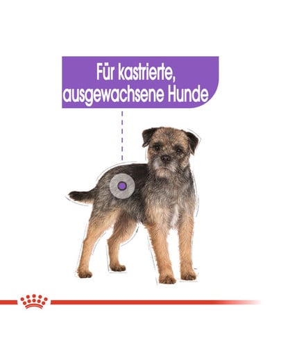 ROYAL CANIN STERILISED Nassfutter für kastrierte Hunde Mousse 12 x 85 g