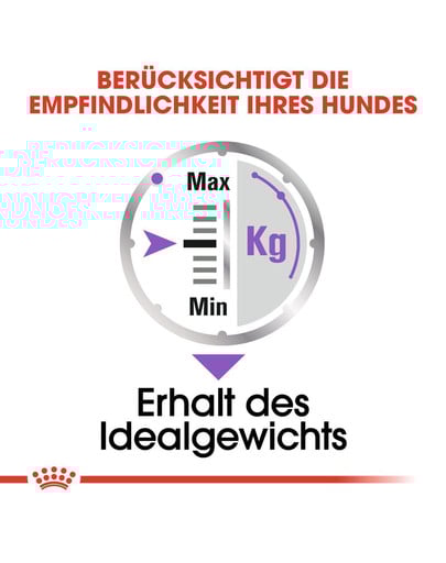 ROYAL CANIN STERILISED Nassfutter für kastrierte Hunde Mousse 12 x 85 g