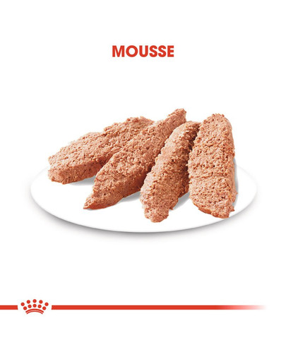 ROYAL CANIN STERILISED Nassfutter für kastrierte Hunde Mousse 12 x 85 g