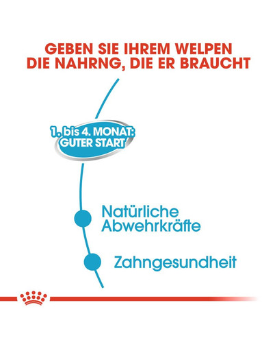 ROYAL CANIN STARTER Mousse Welpenfutter nass 195 g