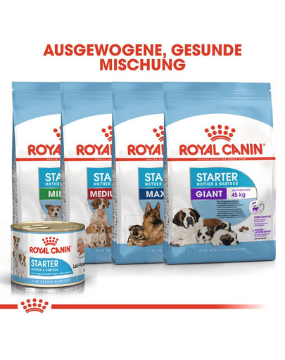 ROYAL CANIN STARTER Mousse Welpenfutter nass 195 g