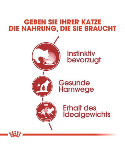 ROYAL CANIN INSTINCTIVE Katzenfutter nass in Soße 12 x 85 g