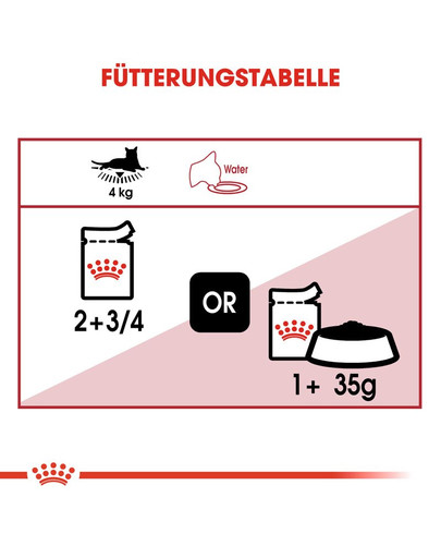 ROYAL CANIN INSTINCTIVE Katzenfutter nass in Soße 12 x 85 g