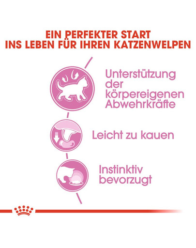 ROYAL CANIN KITTEN Nassfutter in Soße für Kätzchen 12x85g