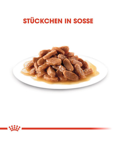 ROYAL CANIN KITTEN Nassfutter in Soße für Kätzchen 12x85g