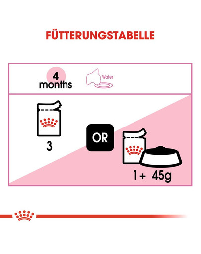 ROYAL CANIN KITTEN Nassfutter in Soße für Kätzchen 12x85g