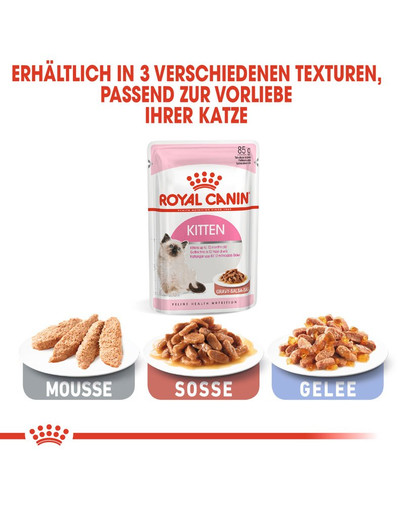 ROYAL CANIN KITTEN Nassfutter in Soße für Kätzchen 12x85g