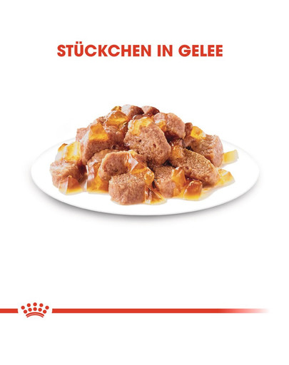 ROYAL CANIN INSTINCTIVE Katzenfutter nass in Gelee 12x85g