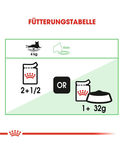 ROYAL CANIN Digestive Care Nassfutter in Soße für ausgewachsene Katzen mit empfindlichem Verdauungstrakt 12x85g