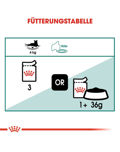 ROYAL CANIN INSTINCTIVE 7+ Nassfutter in Soße für ältere Katzen 12 x 85 g