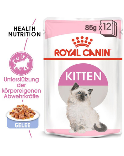 ROYAL CANIN KITTEN Nassfutter in Gelee für Kätzchen 12 x 85 g