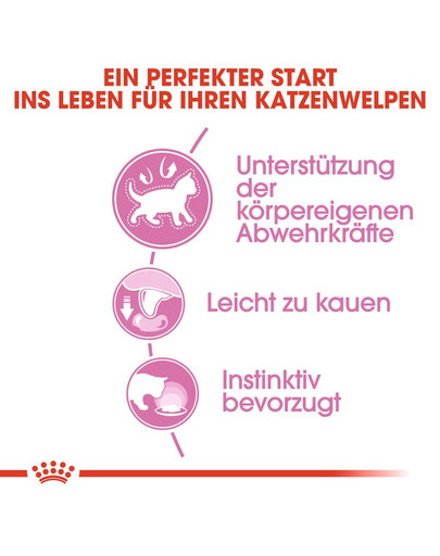 ROYAL CANIN KITTEN Nassfutter in Gelee für Kätzchen 12 x 85 g