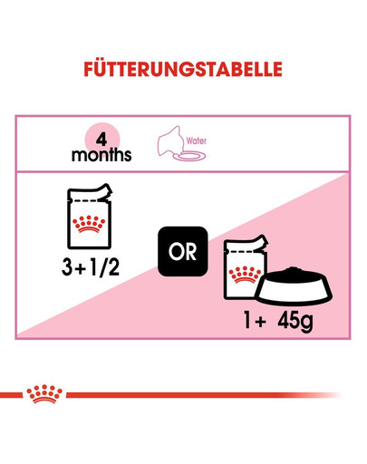 ROYAL CANIN KITTEN Nassfutter in Gelee für Kätzchen 12 x 85 g