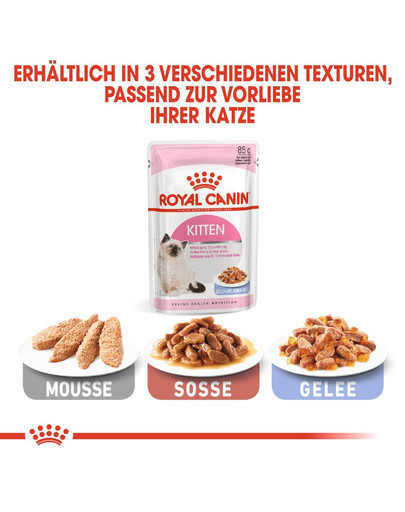ROYAL CANIN KITTEN Nassfutter in Gelee für Kätzchen 12 x 85 g