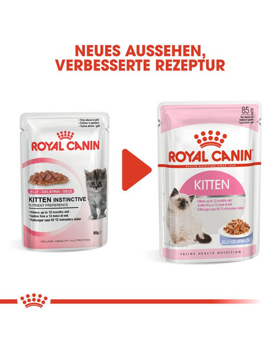 ROYAL CANIN KITTEN Nassfutter in Gelee für Kätzchen 12 x 85 g