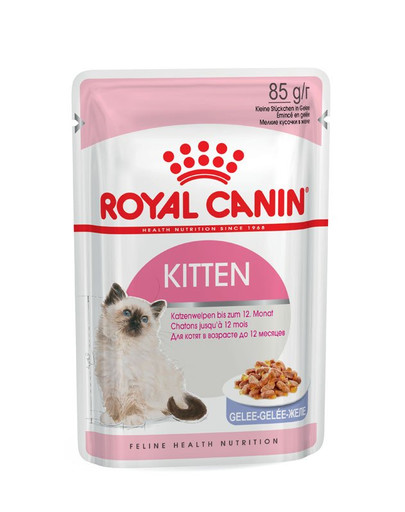 ROYAL CANIN KITTEN Nassfutter in Gelee für Kätzchen 12 x 85 g