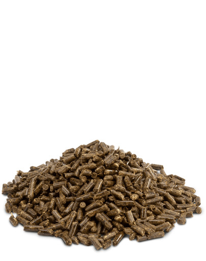 VERSELE-LAGA CRISPY PELLETS Chinchillas und Degus 1 kg