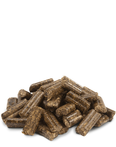 VERSELE-LAGA CRISPY PELLETS Rabbits für Kaninchen 25 kg