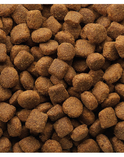 VERSELE-LAGA Classic mit LAMM & REIS 20 kg