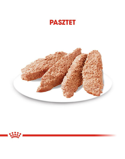 ROYAL CANIN DERMACOMFORT Nassfutter für Hunde mit empfindlicher Haut Mousse 12 x 85 g