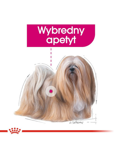 ROYAL CANIN Exigent Alleinfuttermittel für Hunde 85 g x 12