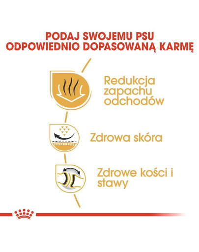 ROYAL CANIN Bulldog Adult Hundefutter trocken 12 kg