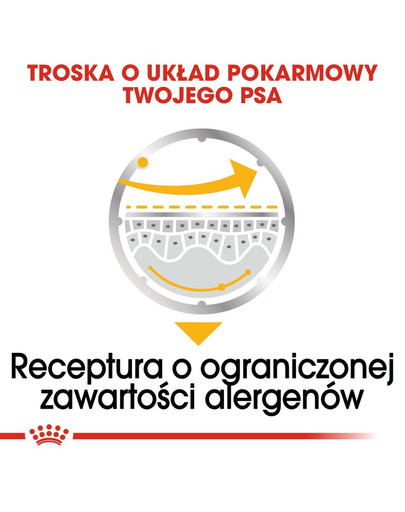 ROYAL CANIN DERMACOMFORT Nassfutter für Hunde mit empfindlicher Haut Mousse 12 x 85 g