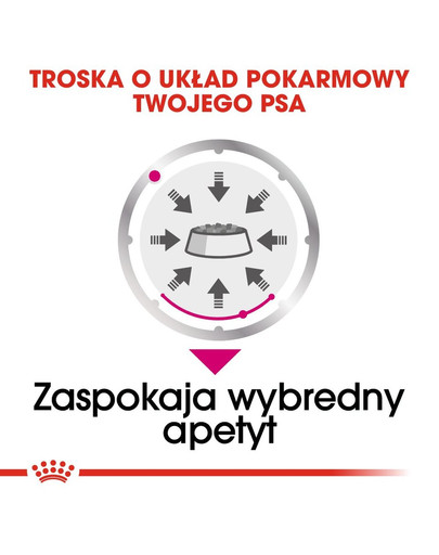 ROYAL CANIN Exigent Alleinfuttermittel für Hunde 85 g x 12