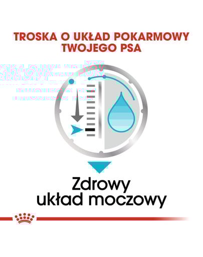 ROYAL CANIN Urinary Care Nassfutter für Hunde mit empfindlichen Harnwegen Mousse 85 g x 12