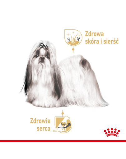 ROYAL CANIN Shih Tzu Adult Loaf  12 x 85 g