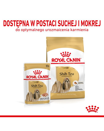 ROYAL CANIN Shih Tzu Adult Loaf  12 x 85 g