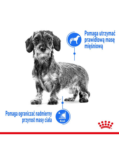 ROYAL CANIN LIGHT WEIGHT CARE Nassfutter für Hunde mit Neigung zu Übergewicht 12 x 85 g