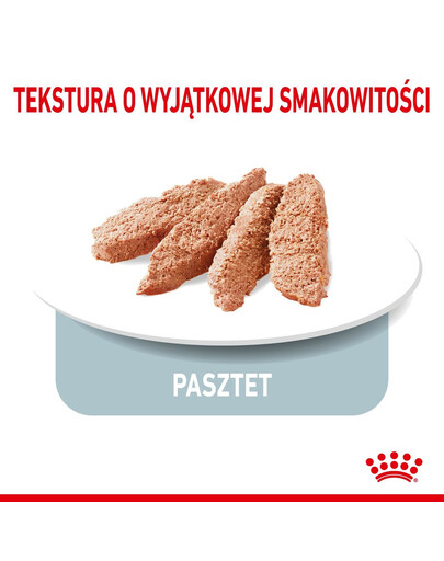 ROYAL CANIN LIGHT WEIGHT CARE Nassfutter für Hunde mit Neigung zu Übergewicht 12 x 85 g