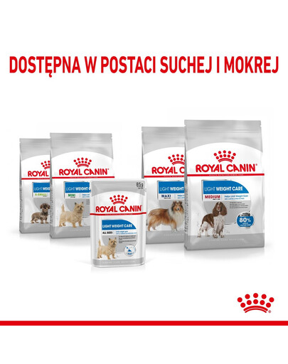 ROYAL CANIN LIGHT WEIGHT CARE Nassfutter für Hunde mit Neigung zu Übergewicht 12 x 85 g