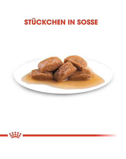 ROYAL CANIN MAXI ADULT Nassfutter für große Hunde in Soße 10 x 140 g