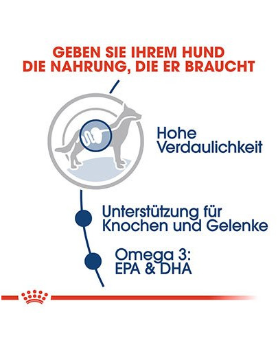 ROYAL CANIN MAXI ADULT Nassfutter für große Hunde in Soße 10 x 140 g