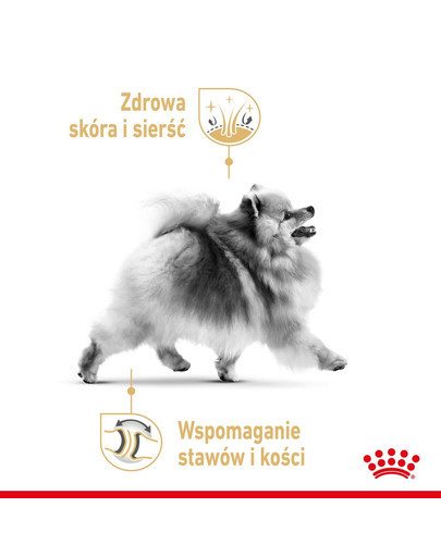 ROYAL CANIN Pomeranian Adult 12x85g