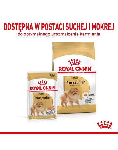 ROYAL CANIN Pomeranian Adult 12x85g