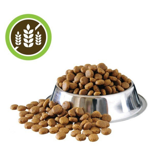 Getreidefreies Katzenfutter