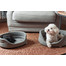 FERA Hundebett oval grau XL 75x62x22 cm