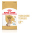 ROYAL CANIN Yorkshire Terrier 8+ Trockenfutter für ältere Hunde 3 kg